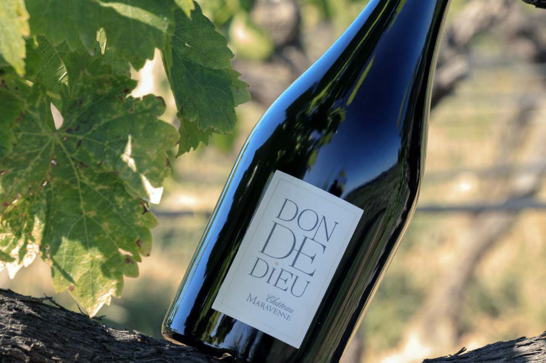 Fiche technique Don de dieu rouge Château Maravenne