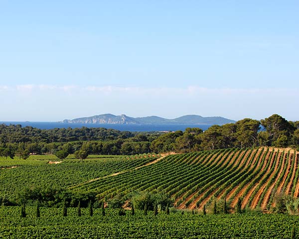 Château Maravenne – Vignoble d’exception à La Londe‑les‑Maures